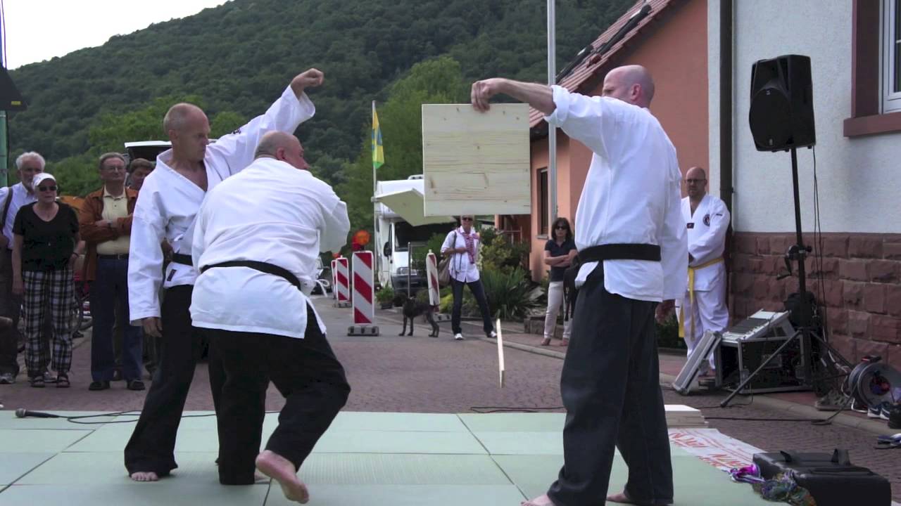 Hapkido - Vorführung der Sportschule Biffar Wertheim 2014