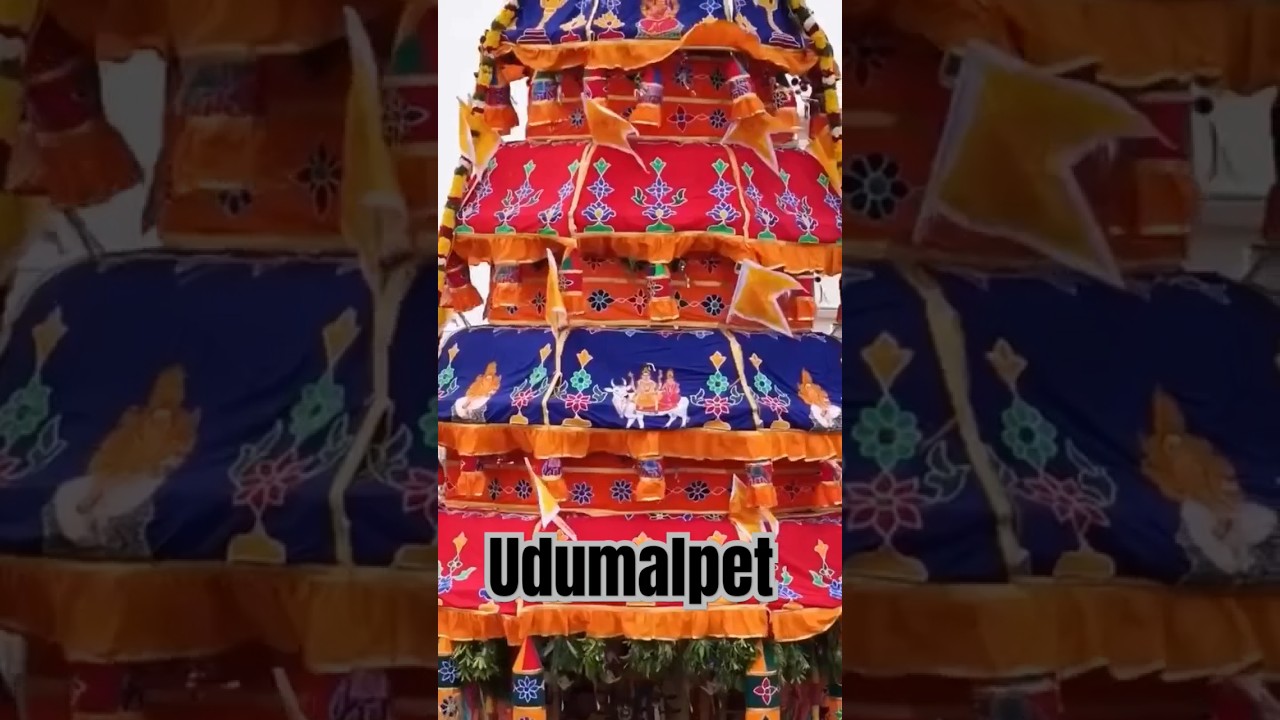 Udumalpet festival #grandfunction #shortvideo #mariyammankovil #udumalaipet #shortvideo
