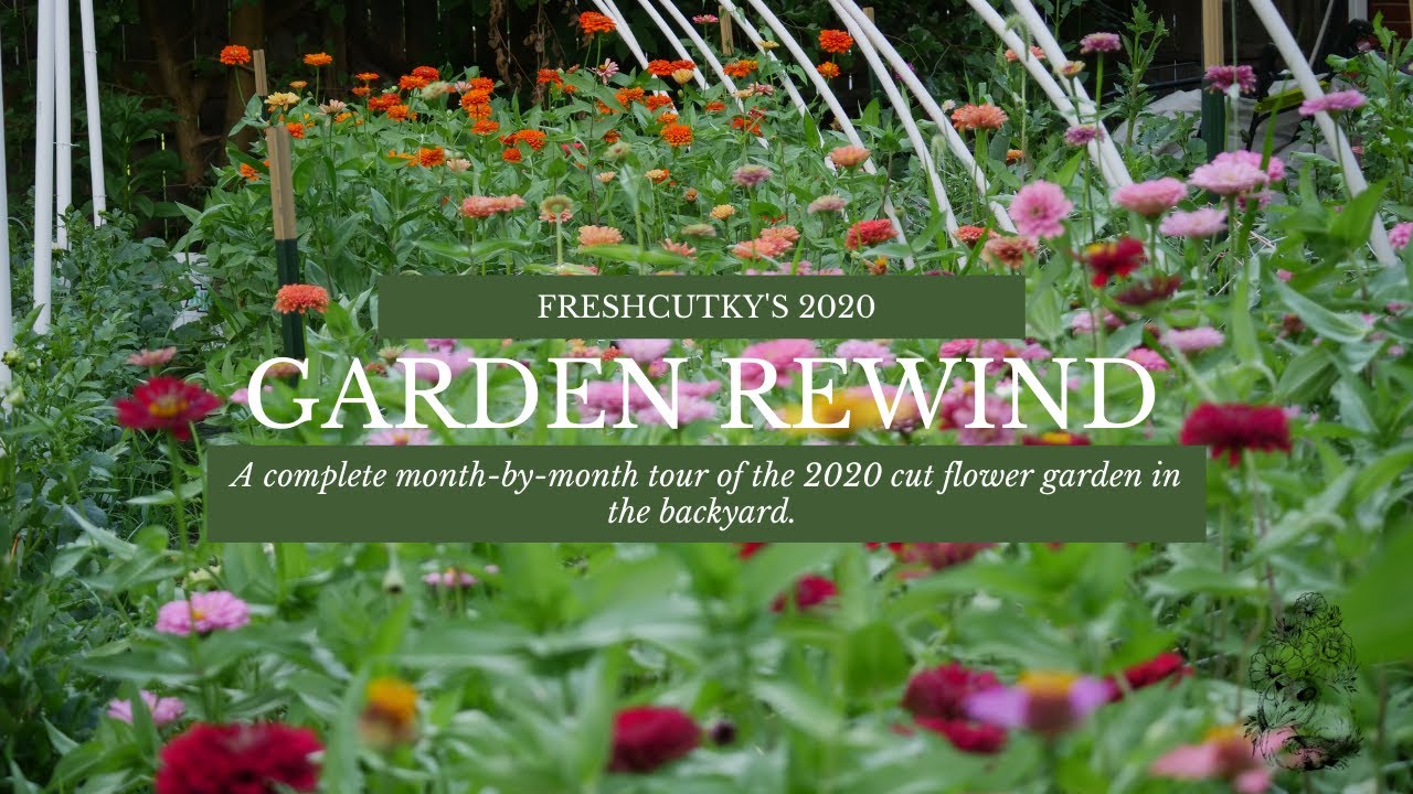 MONTH BY MONTH CUT FLOWERS: 2020 GARDEN REWIND - FRESHCUTKY