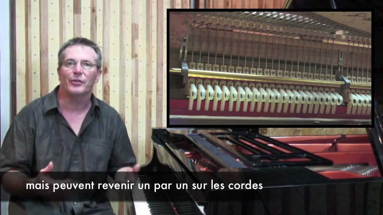 Introduction à la Pédale Harmonique (durée11 mins)