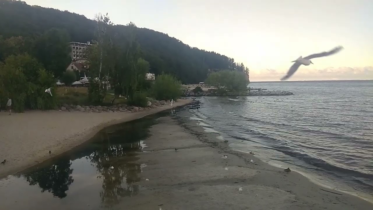 Польша Балтийское море Гданьская бухта