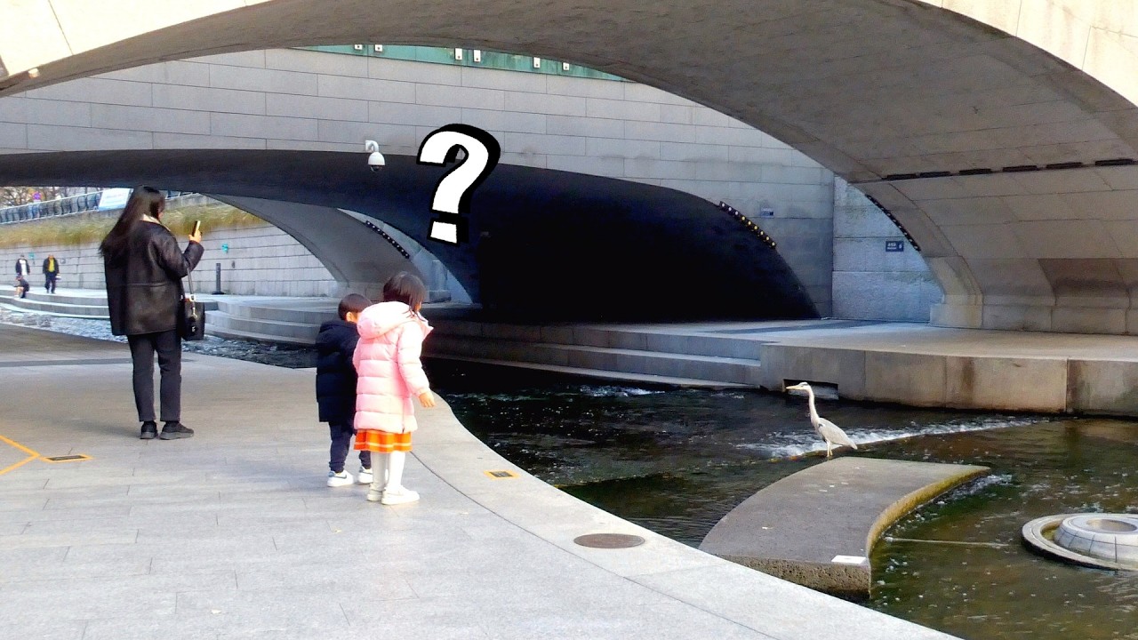 왜가리는 왜 물고기 사냥을 하지 않을까요? | Why Doesn’t the Heron Hunt Fish?
