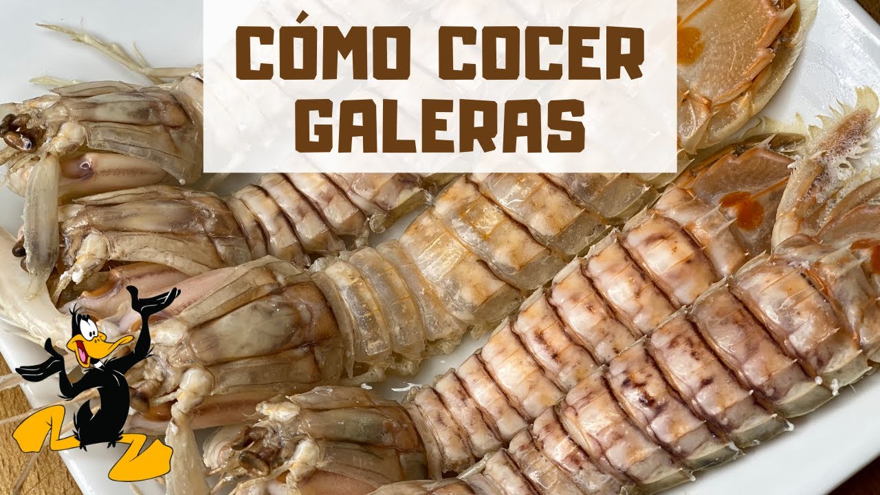 3 TRUCOS para Cocer Galeras 🦐 ¡TIEMPO DE COCCIÓN!