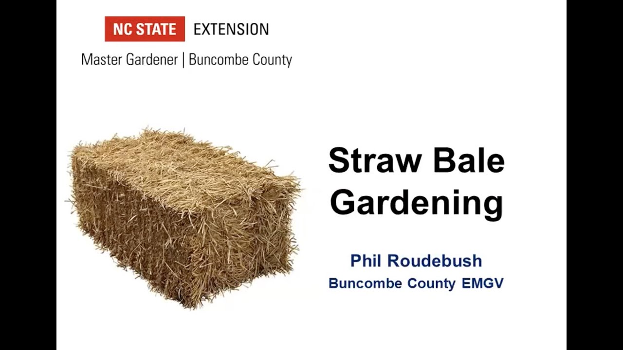 Straw Bale Gardening