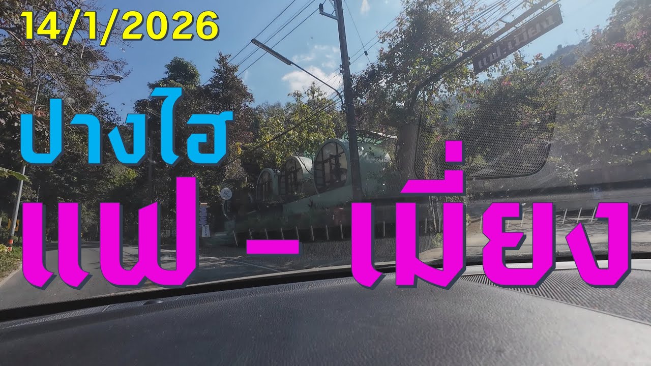 #trip4k : แฟ - เมี่ยง ปางไฮ ดอยสะเก็ด เชียงใหม่ 14/1/2026