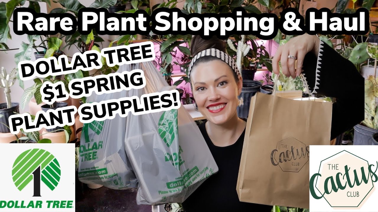 SO Many $1 Plant Supplies At Dollar Tree & Rare Plant Shopping At Cactus Club! Plant Haul