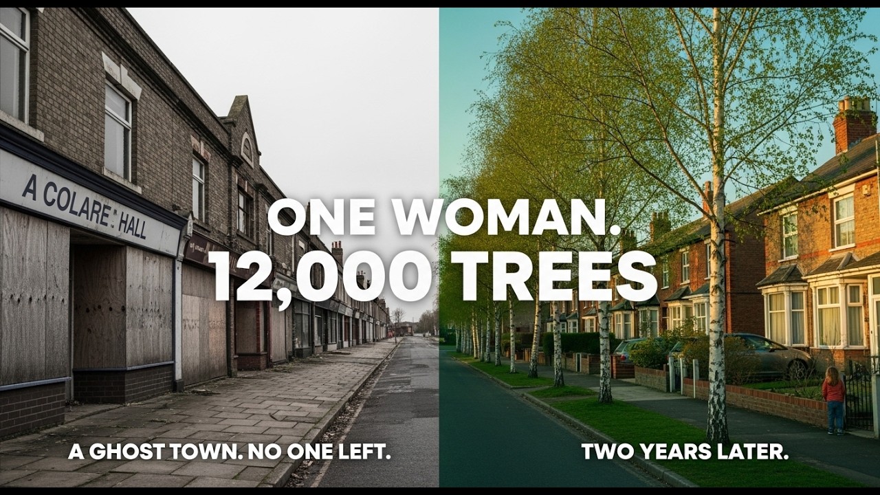 She Walked Into a Ghost Town With 12,000 Trees and Changed Everything. This Is What She Built.
