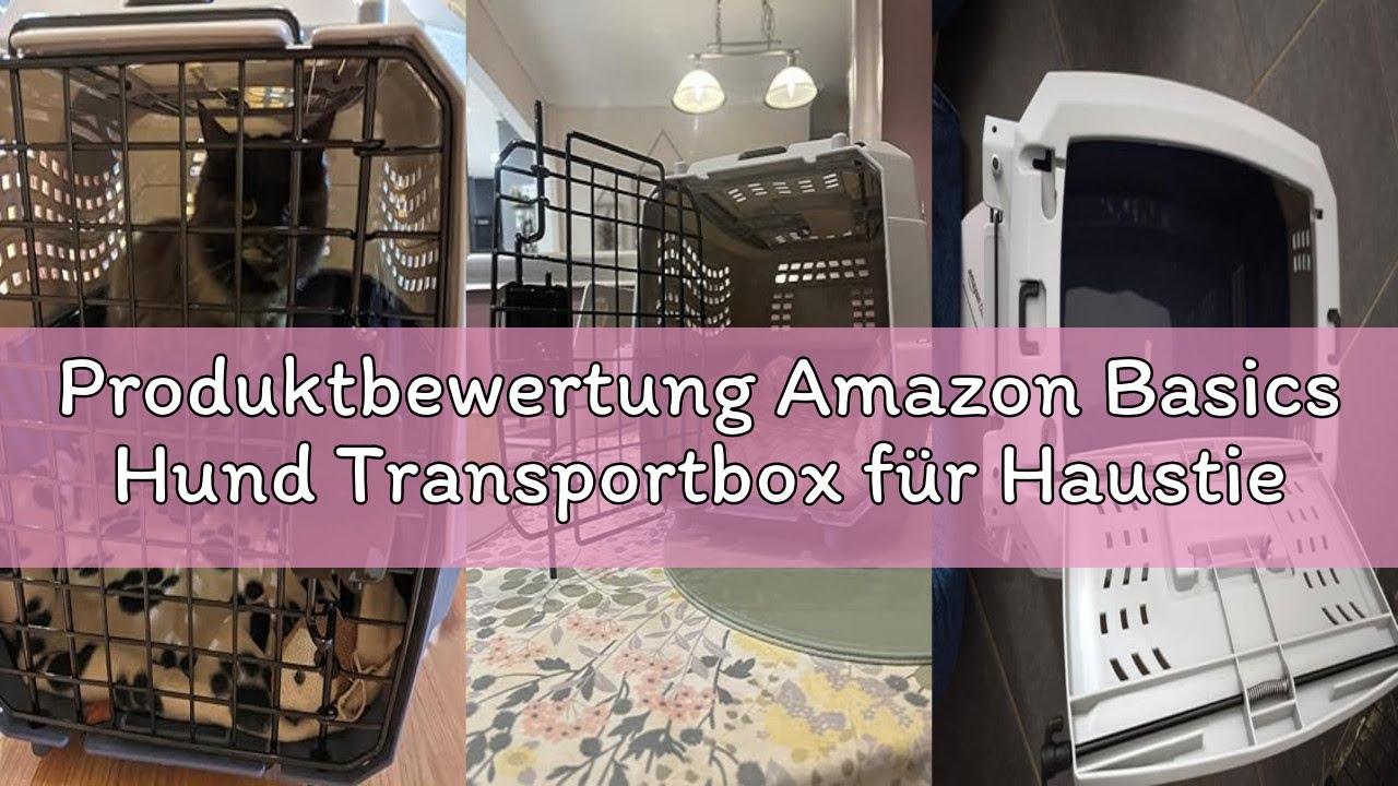 Produktbewertung Amazon Basics Hund Transportbox für Haustiere, 2 Türen, 1 Dachöffnung, L 48 x B 32