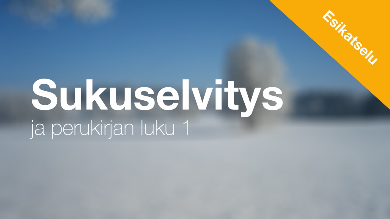 Sukuselvitys ja perukirja luku 1 - esikatselu