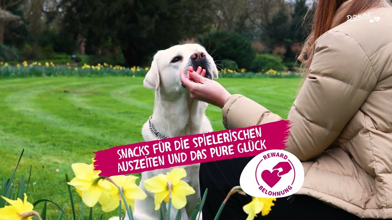 Dokas- Der perfekte Snack f&uuml;r alle Felle