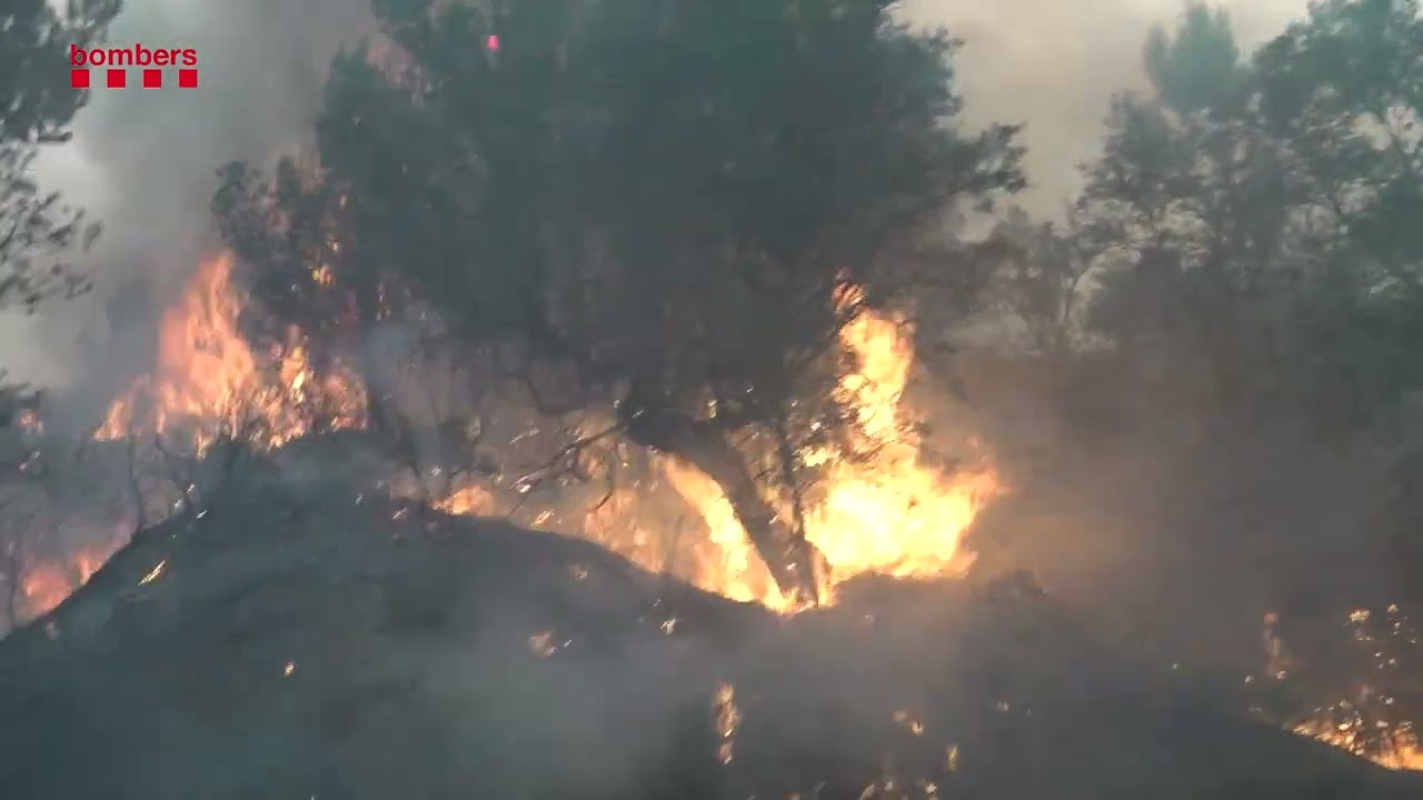 Imatges incendi forestal Paüls Baix Ebre 7 de juliol de 2025