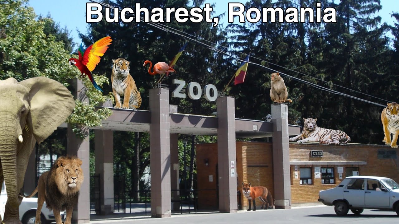 Baneasa Zoo ( Gradina Zoologica, Bucuresti )