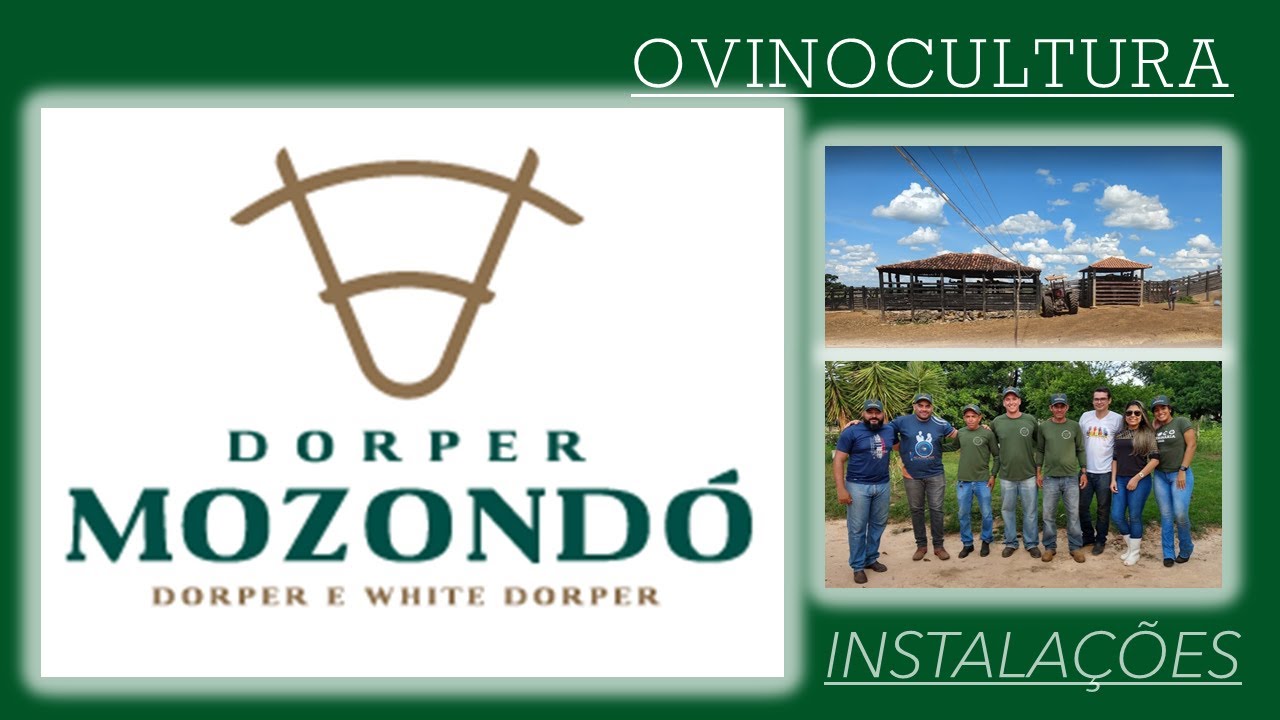 Ovinocultura - Instalações - fazenda Bahia - Santana-BA - Dorper e White Dorper Mozondo