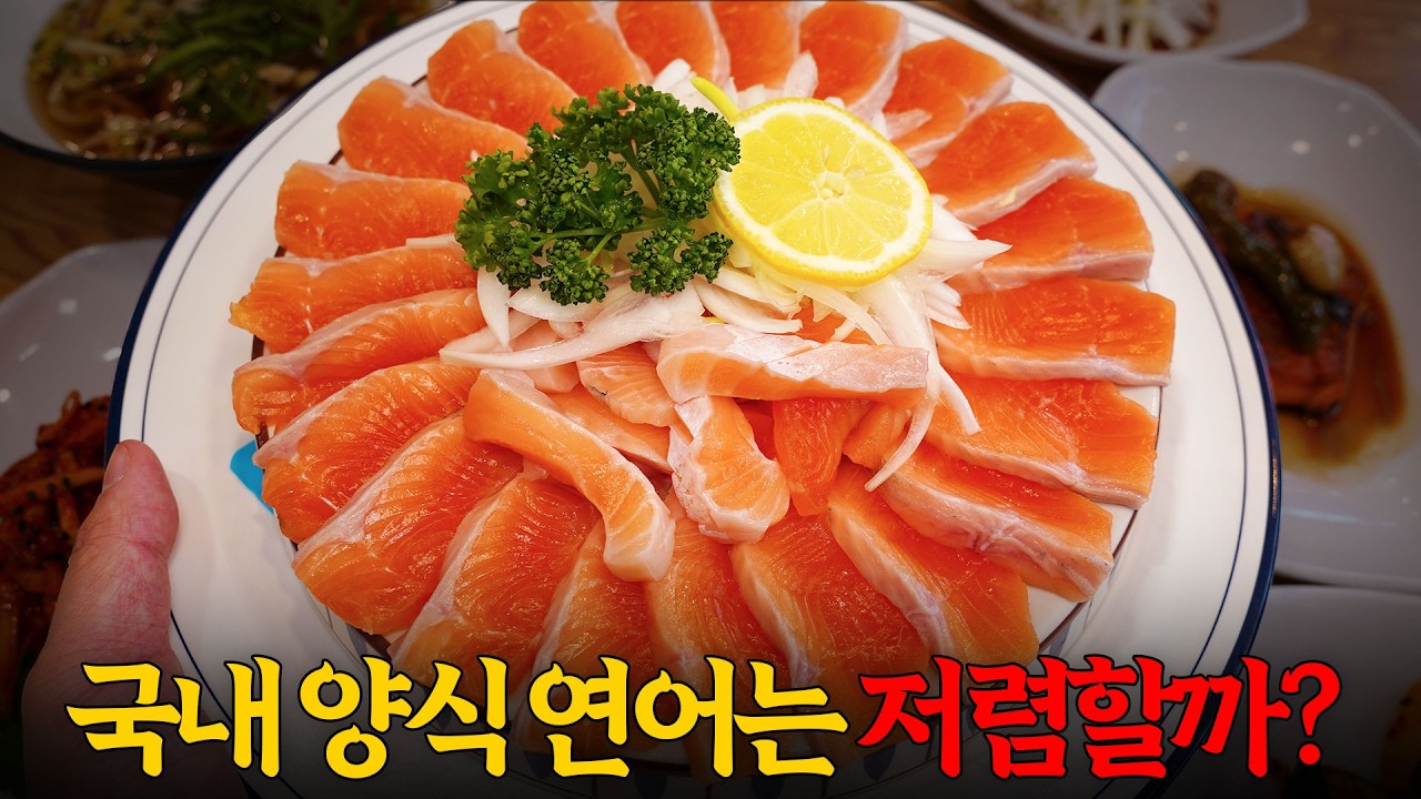 직접 키우면 저렴할까? 연어 양식장에서 운영하는 횟집에 다녀왔습니다!(+민물고기회의 진실)