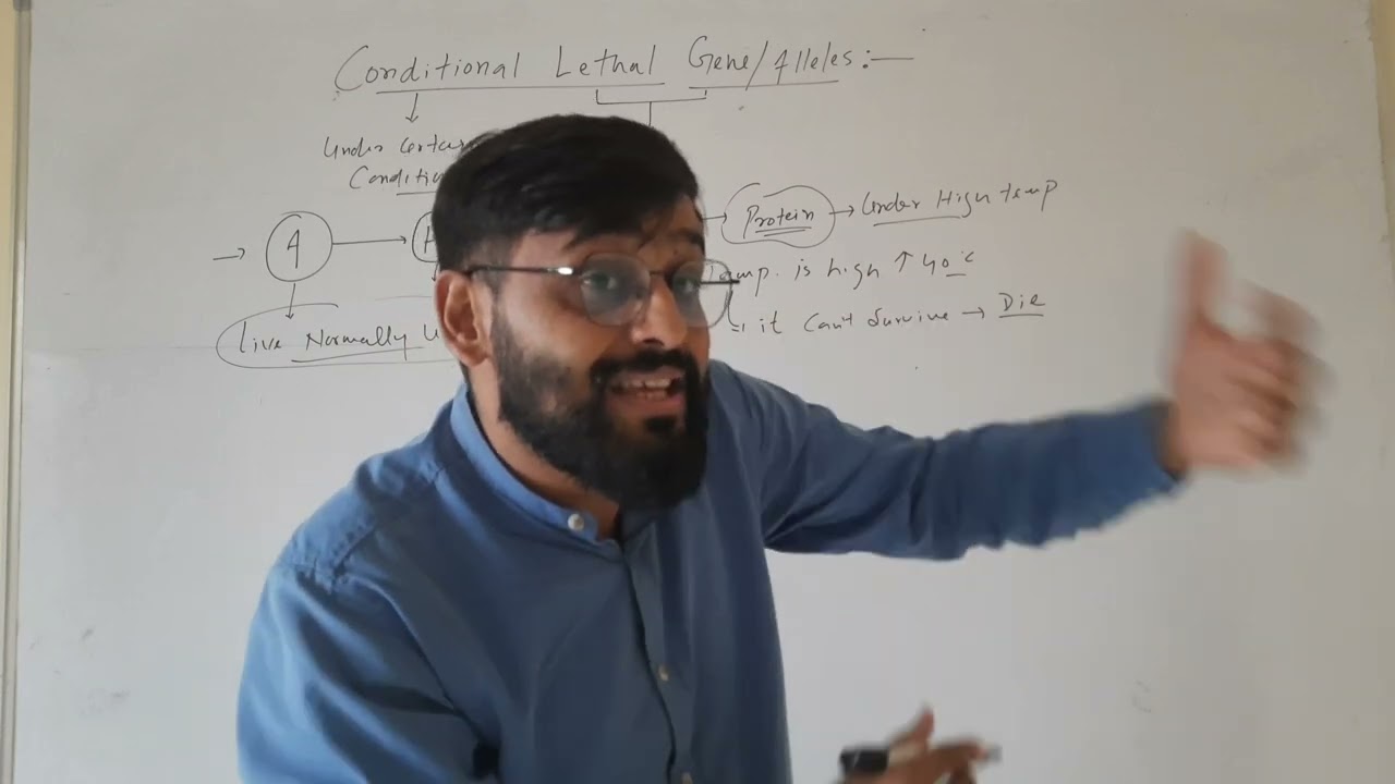 Conditional lethal genes/allele