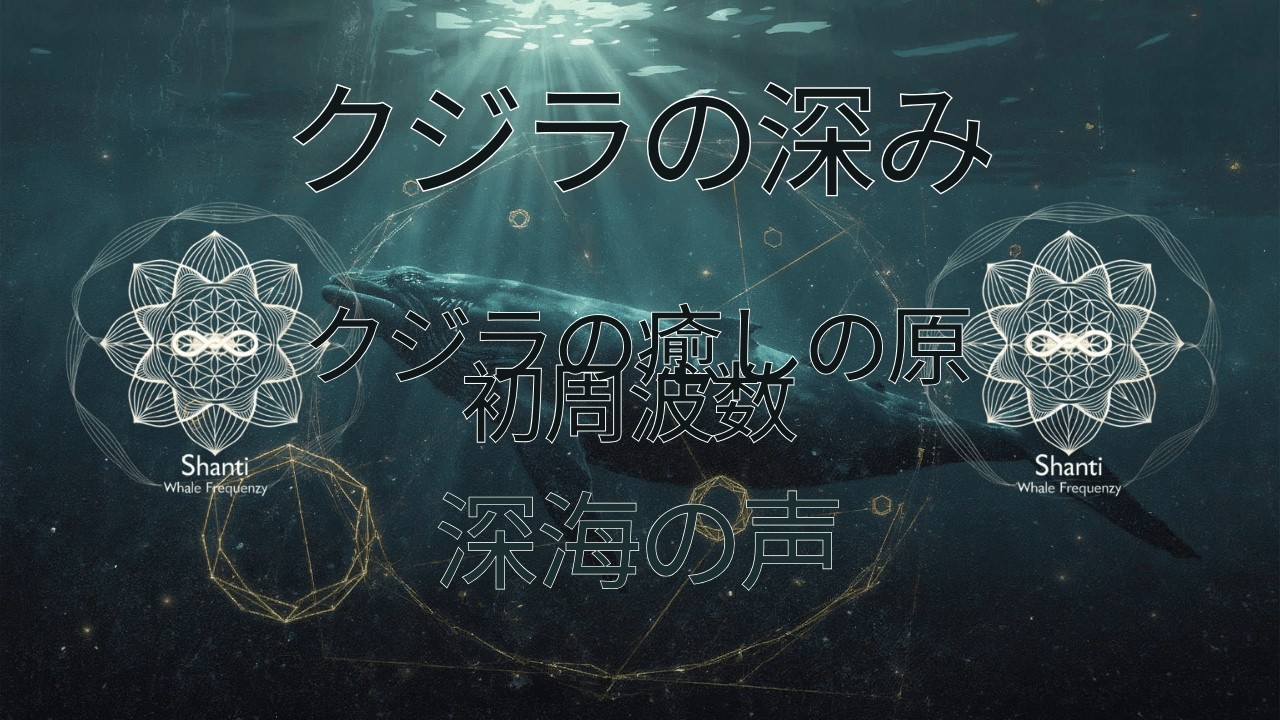 🌑 癒しの原初周波数 🐋#愛 #静けさ #癒し #クジラ #オルカ #クジラ周波数 #迷走神経 #アイアム #原初周波数 #癒しの音楽 #クジラ #クジラ周波数 #深い癒し #369 #444