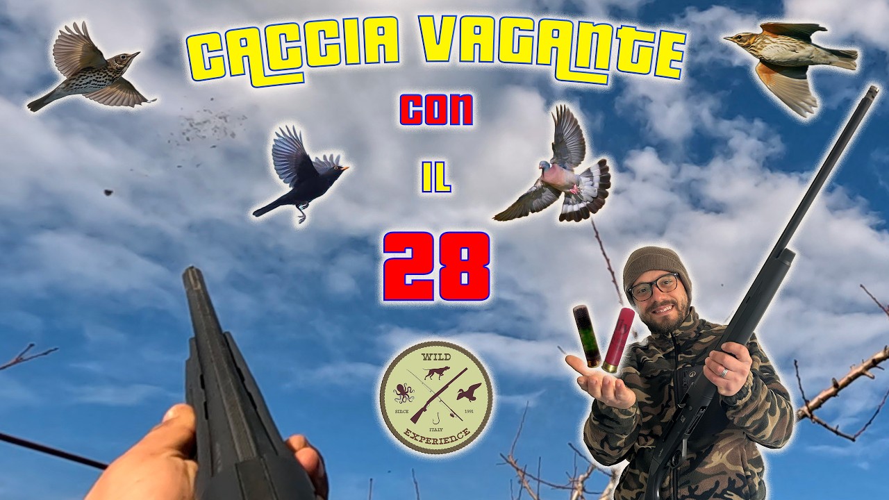 CACCIA VAGANTE in ATC BARI | Il CALIBRO 28 non fa PRIGIONIERI | TRUSH HUNTING | CAZA ZORZALES | 4K