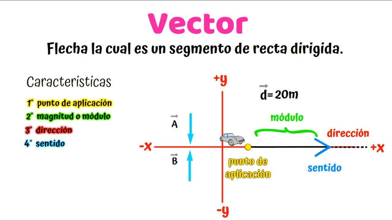¿Qué es un Vector?