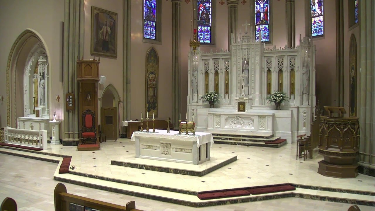 Fourth Sunday in Ordinary Time - 4pm Saturday Mass - Fr. Bosco | 01-31-26