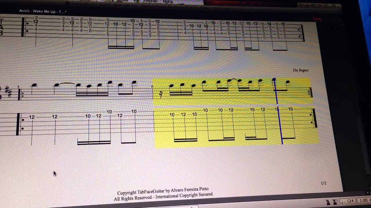Avicii - Wake Me Up - TabFaceGuitar by Alvaro Ferreira Pinto - Enjoy