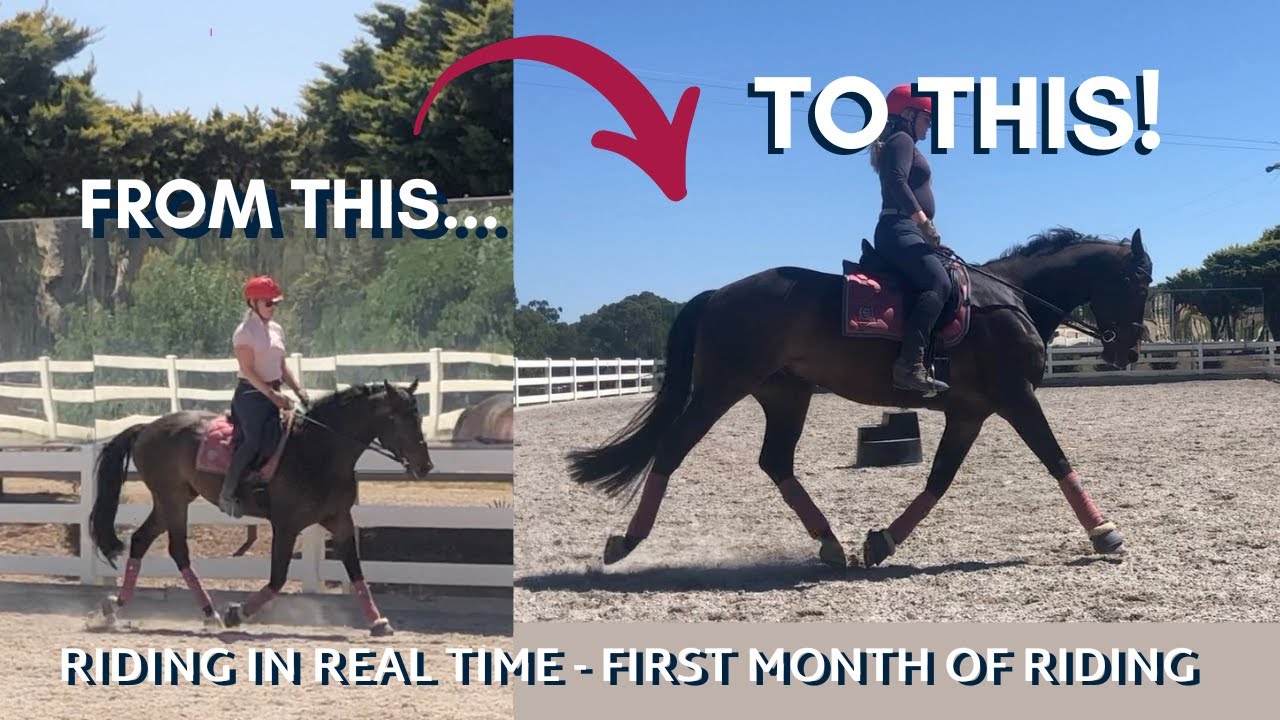 RIDING IN REAL TIME | Young Horse Vin | First Month of Riding - January Roundup
