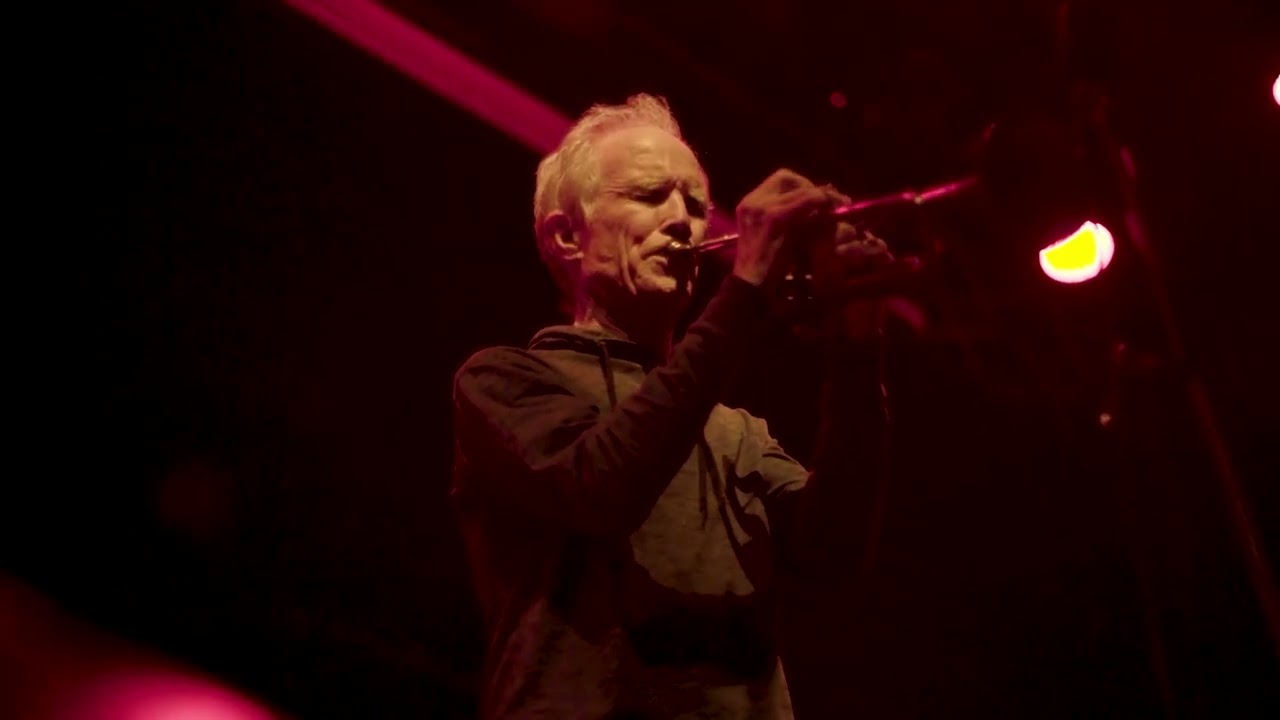 BLOOD QUARTET Live 2025 Reel
