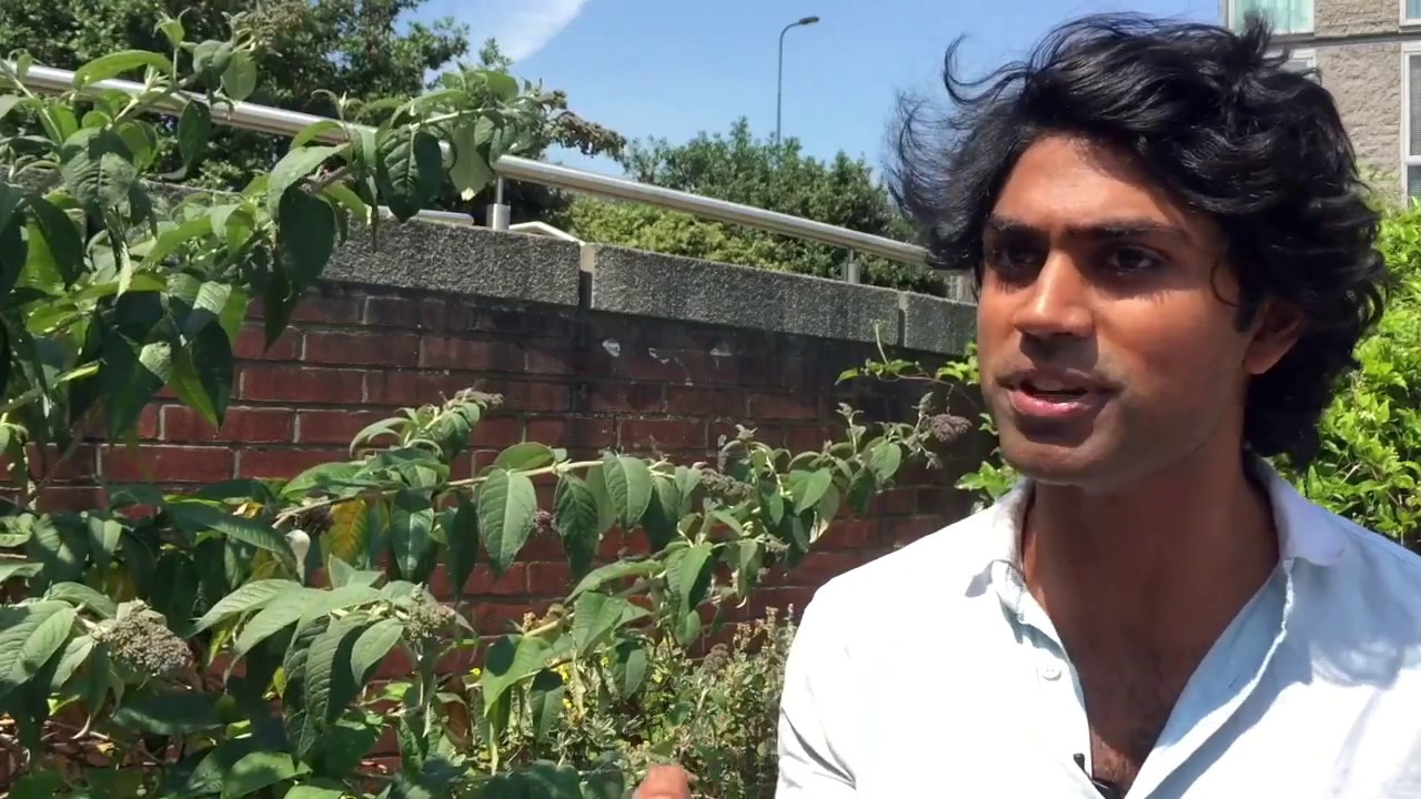 Mikhail Sen, Taj Express