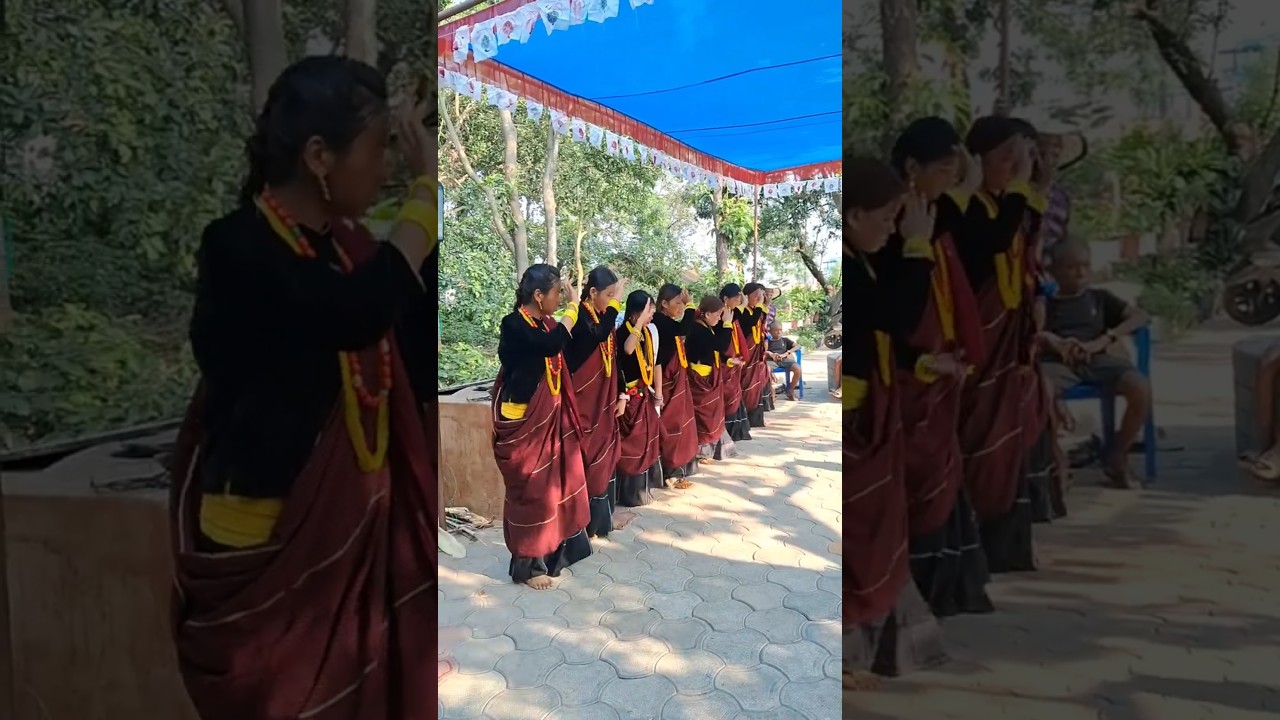 Magar culture/Kauraha nach💃❤️🌿 @ashmirana6513 #shorts🇳🇵