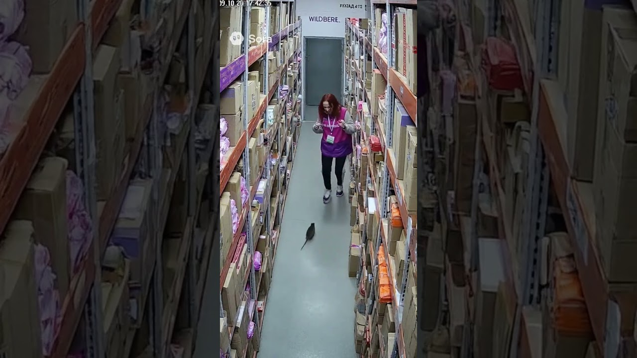Случай в пвз #wildberries #wb #ai #aivideo #fypシ #ии #искусственныйинтеллект #пвз