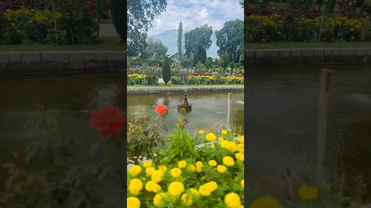 🇮🇳 Stunning Shalimar gardens, Srinagar, Kashmir #srinagar #visitkashmir #shalimargarden