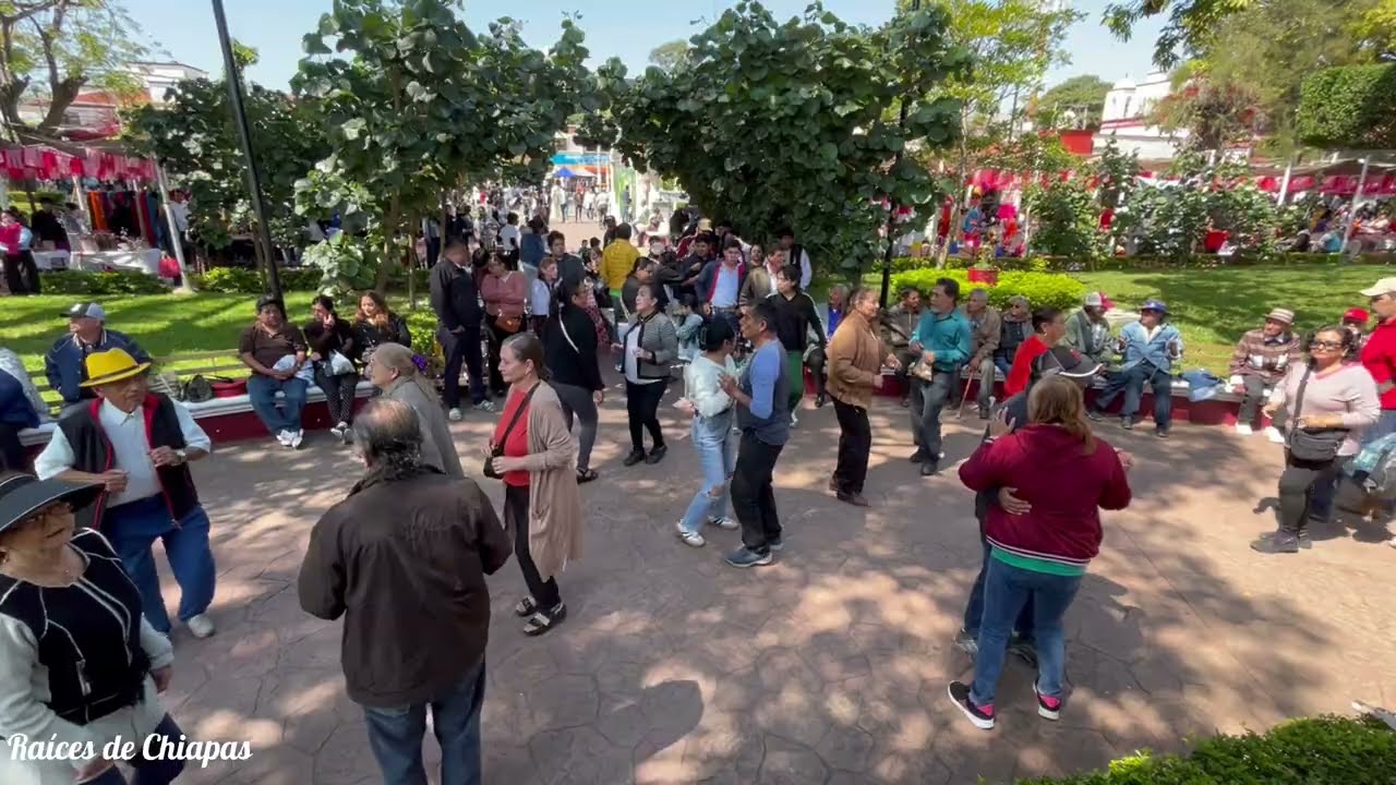 A bailar al ritmo de la Marimba, Desde Berriozabal Chiapas, 01 de Febrero del 2026