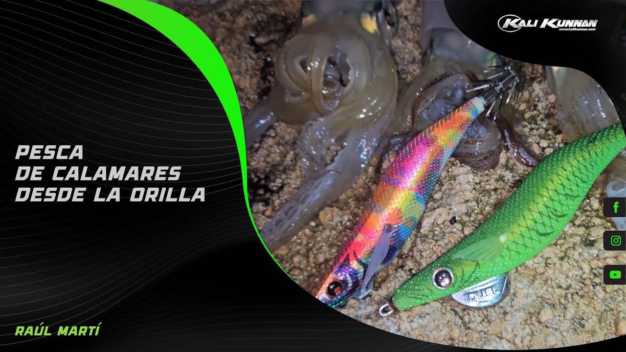 Pesca de calamares desde la orilla
