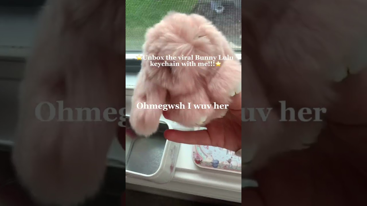 This is your sign to buy a bunny Lulu!#bunny#obsessed#keychain#plushie#bunnylulu@NorahBraveVlogs