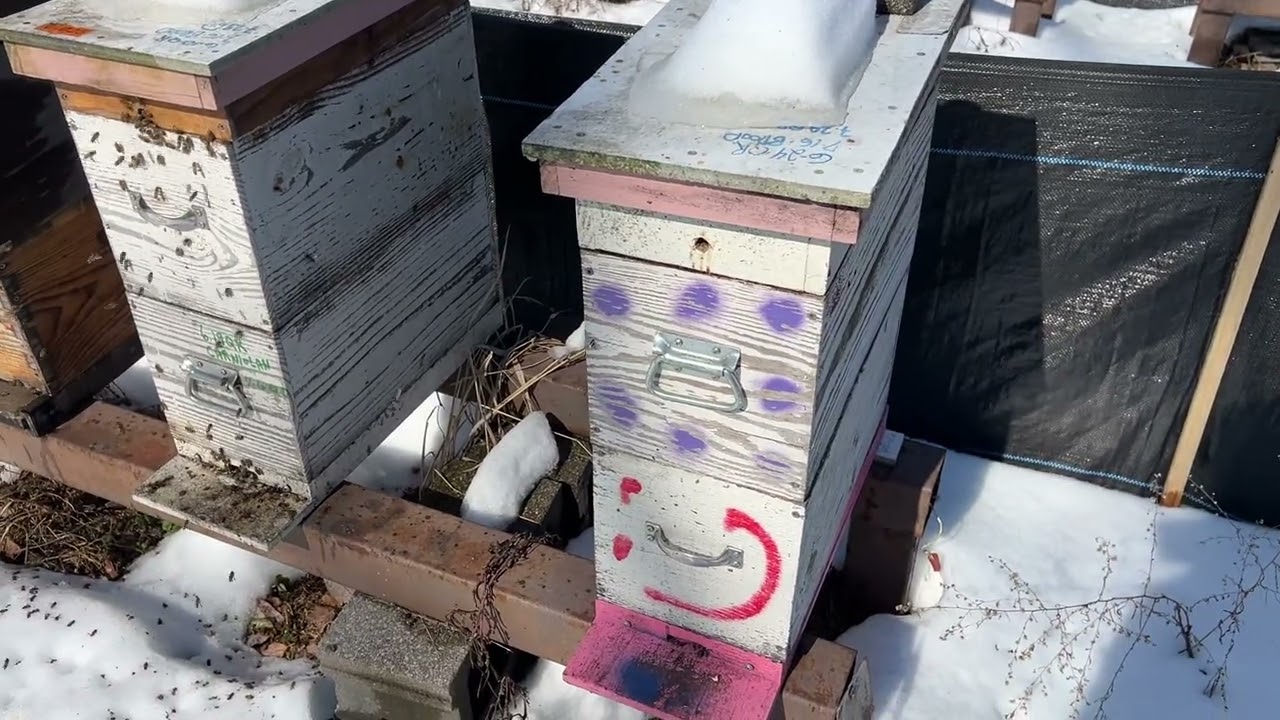 First nice day after the big snowstorm
