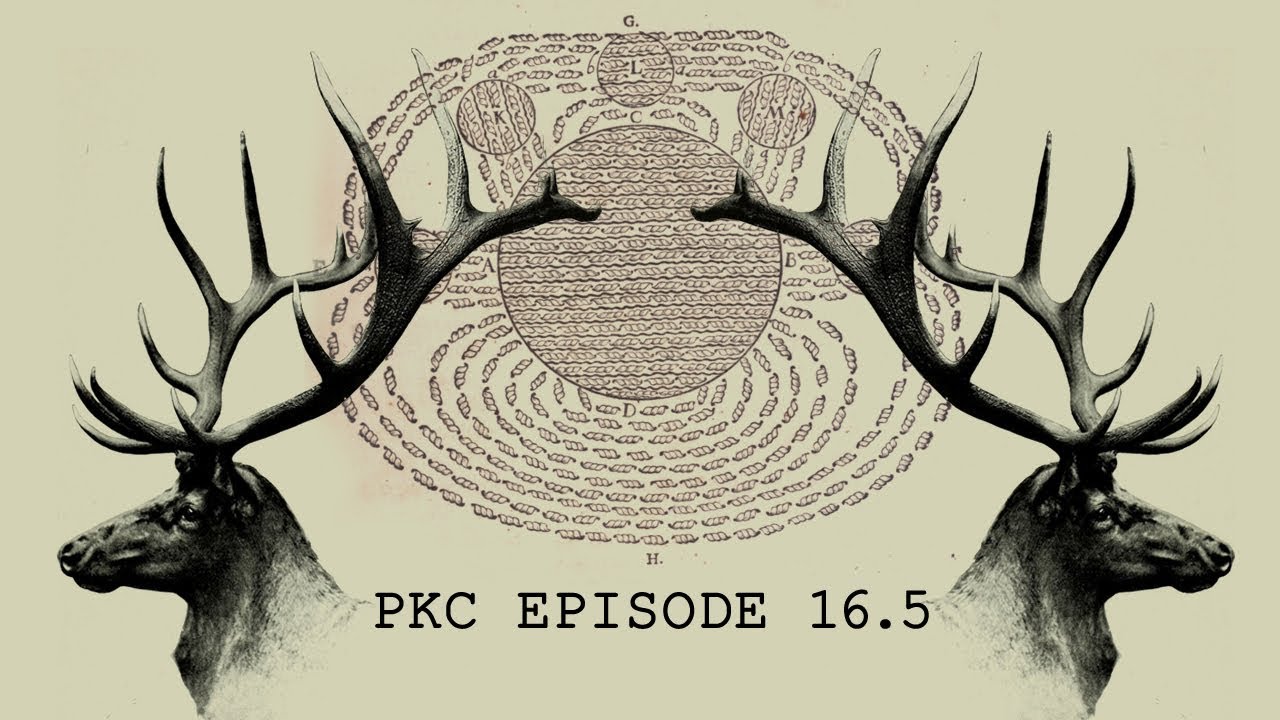 Punch Kick Chill 16.5: War Elk vs Scientist at STRELKA Street Fight
