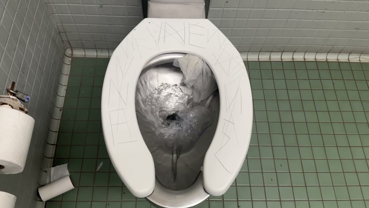[627] Clean Park Restroom!