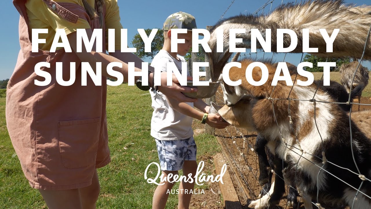 Must-do Sunshine Coast experiences with family
