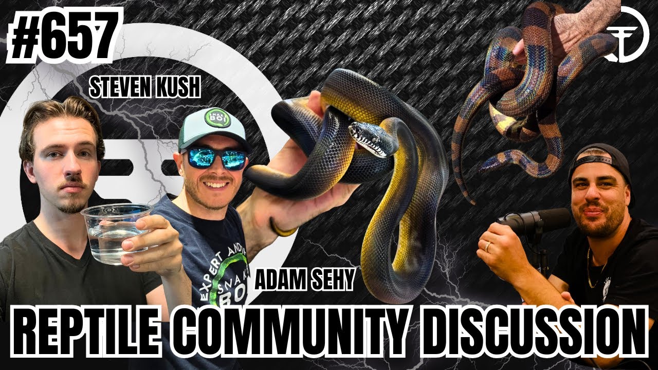 Here is the BIGGEST Problem With The Reptile Community Today | Trap Talk Live