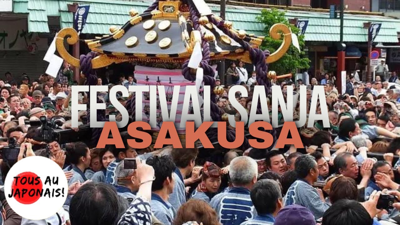 Vlog festival sanja