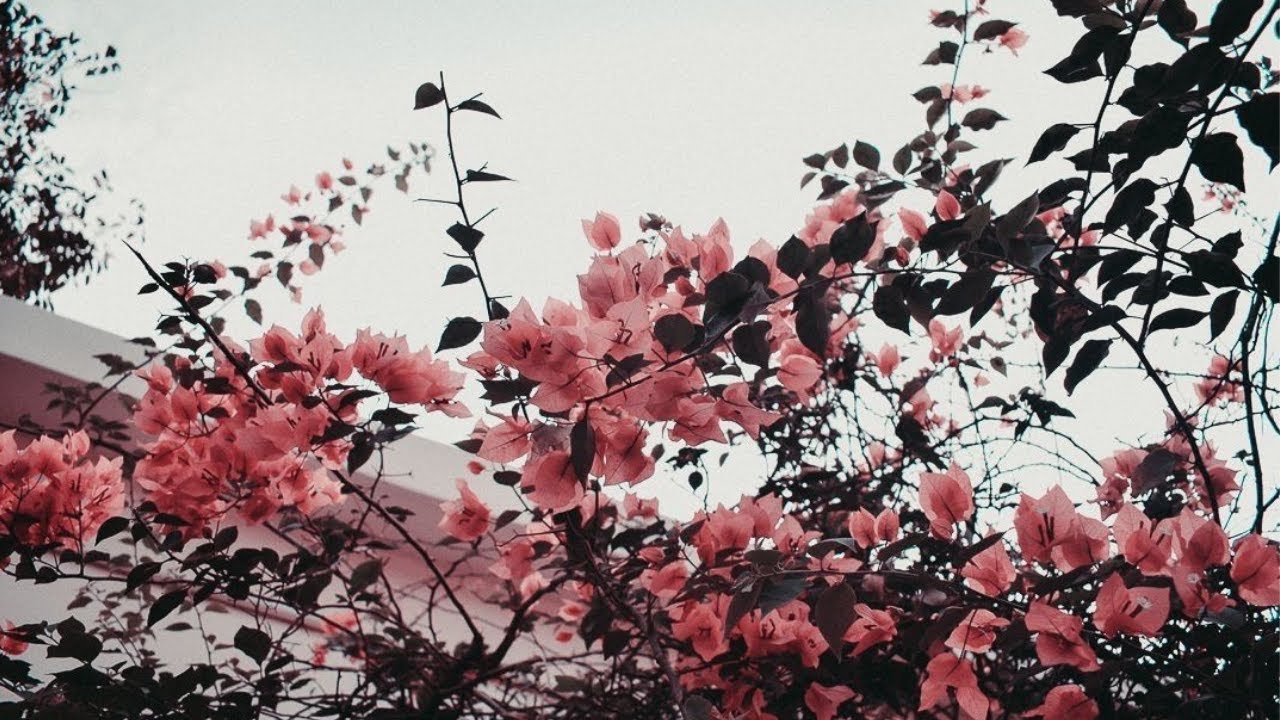a spanish indie playlist ♫ (+ song/artist suggestions in desc.)