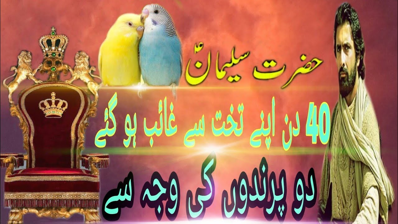 Hazrat Suleman a.s 40 din tak apne takht se ghaib hogaye/Maulana Sayad Nusrat Abbas Bukhari