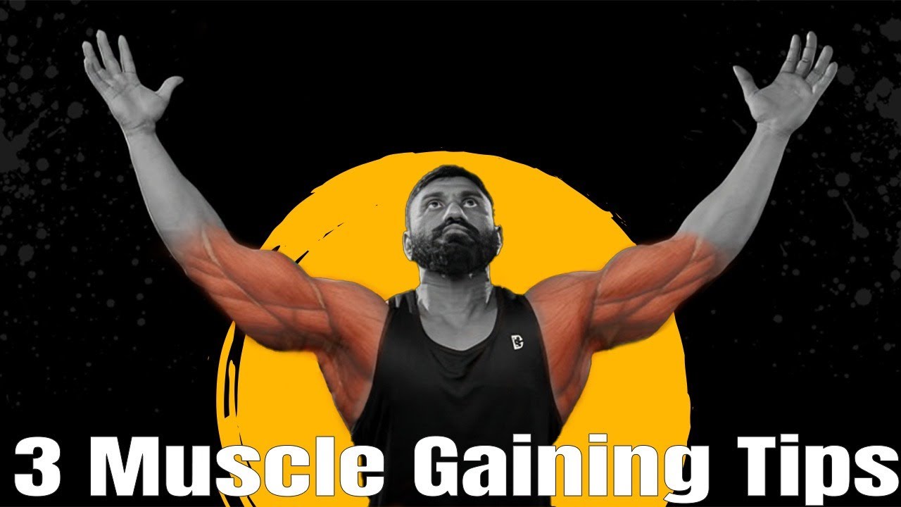 3 Muscle building tips | Mass gaining tips | Bodybuilding tips | Biglee Tamil