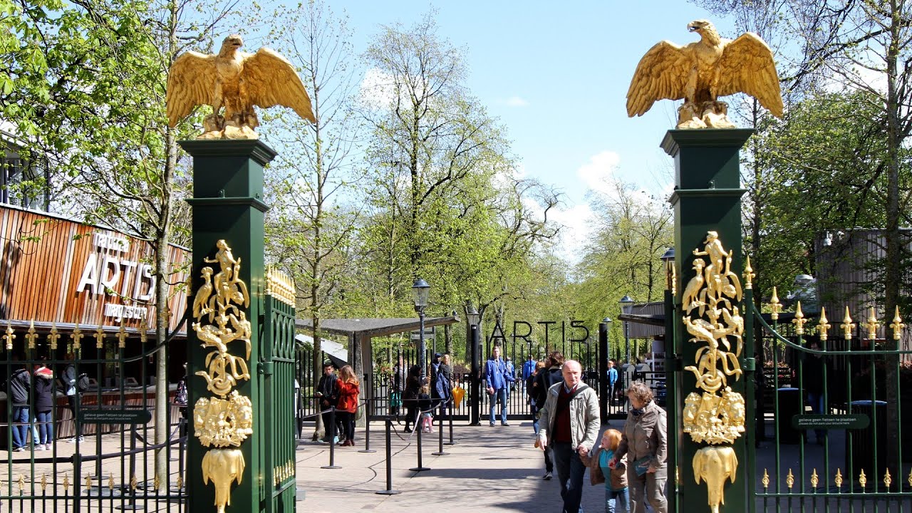 Artis deel1