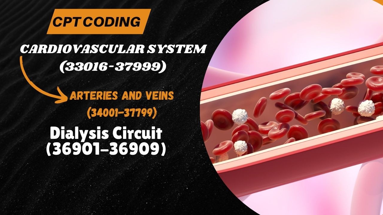 20. Arteries and Veins (34001-37799) I Dialysis Circuit (36901-36909) I