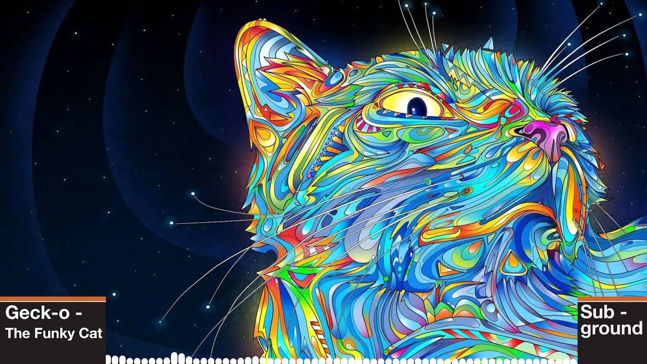 Geck-o - The Funky Cat (HQ rip)