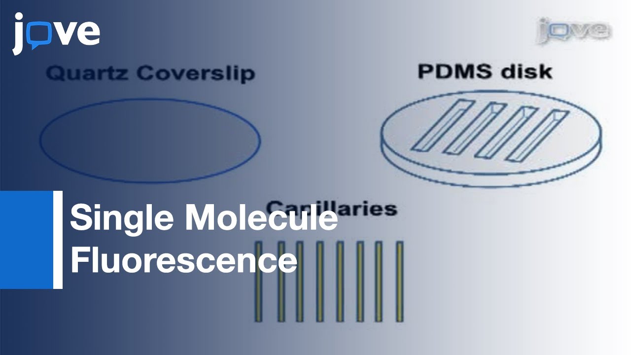 Automated System: Surface-immobilized Biomolecules Measurements
