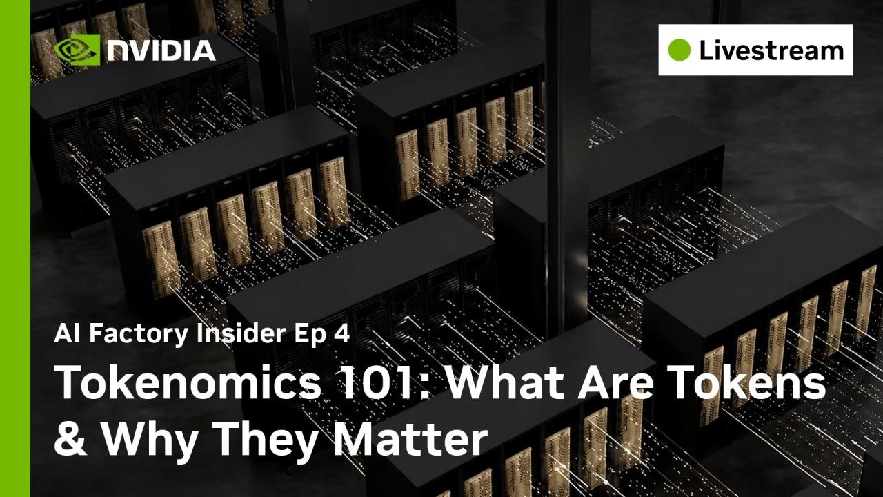 Токеномика 101: что такое токены и почему они важны | AI Factory Insider, эп. 4