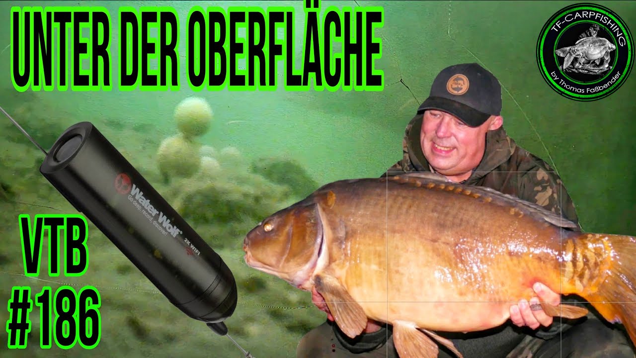 KARPFENANGELN VTB #186 - Unter der Oberfläche #unterwasser #underwater #2025 #herbst