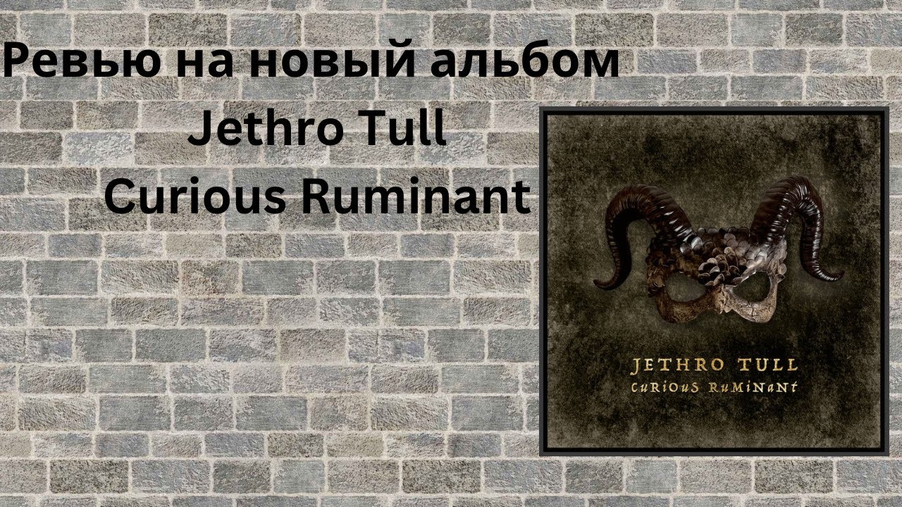 Ревью на новый альбом Jethro Tull -Curious Ruminant