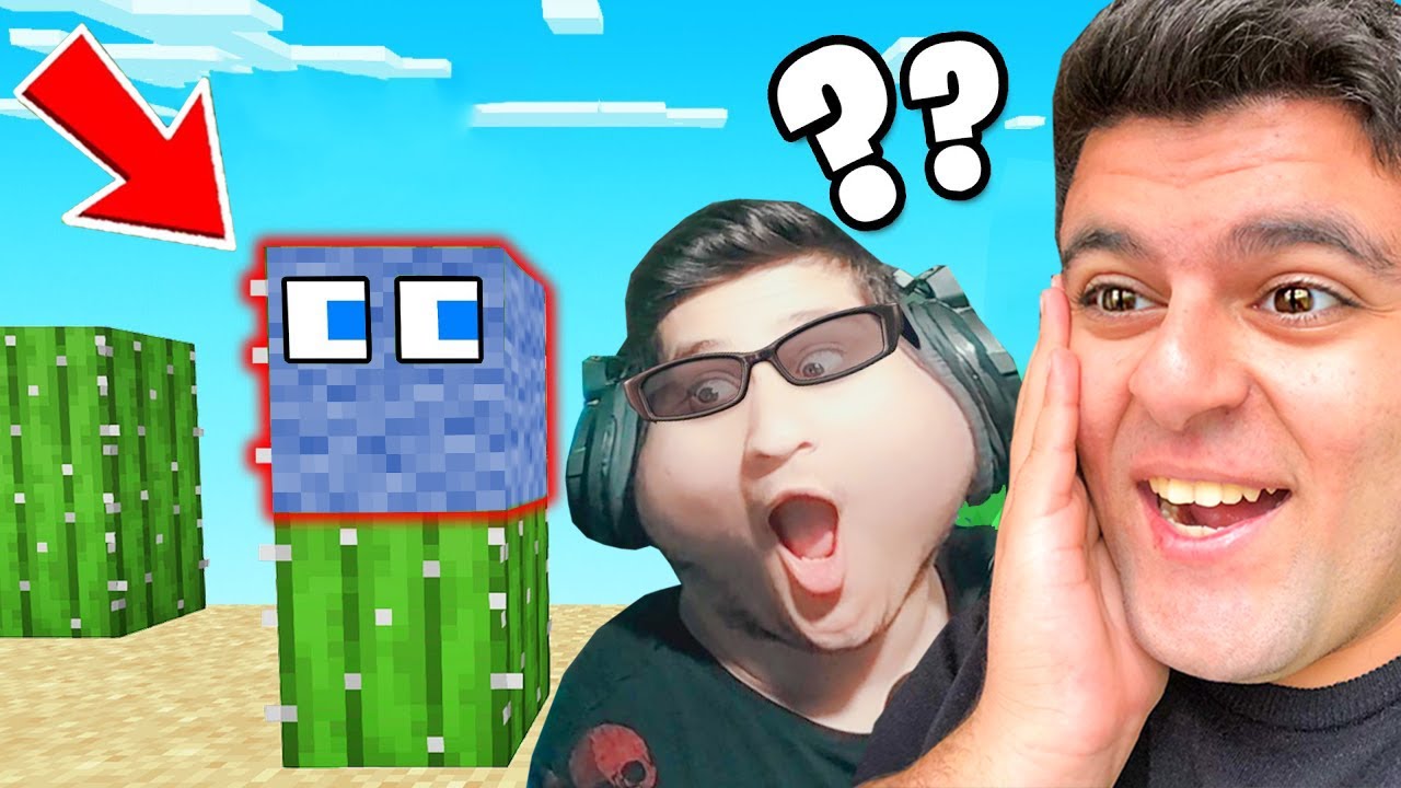 დამალე ბლოკები მსუქანი ნუბთან ერთად Minecraft -ში!